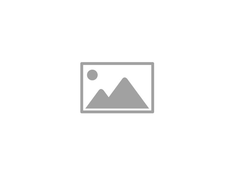 SENSO - Line Lattenrost,  200x80cm, starr (Art.nr.: slla2008)